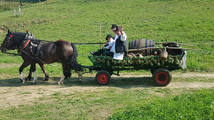 Humčani u Pregradi na Branju gorjzdja 