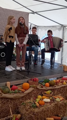 Unatoč kiši velika posjećenost humske manifestacije  „Grejmo na kostanje“